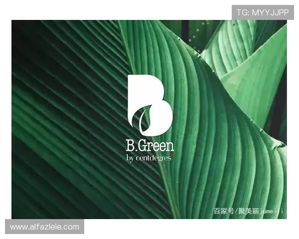 b博体育app官网入口安全可靠的登录渠道，保障用户账号信息安全与顺畅体验