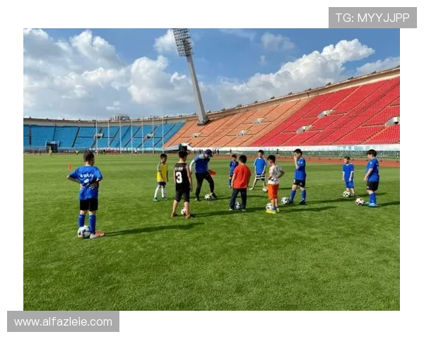 博体体育：打造专业化体育培训体系，助力青少年体育素质全面提升，培养未来体育精英