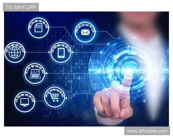 博思官网入口正式上线，开启企业数字化转型新篇章