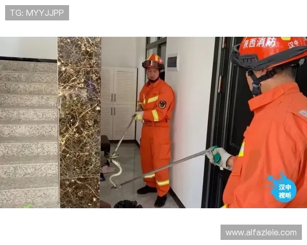 威廉体育平台安全保障措施详解,保障用户资金与个人信息安全的最佳实践 威廉体育平台安全保障措施详解,保障用户资金与个人信息安全的最佳实践